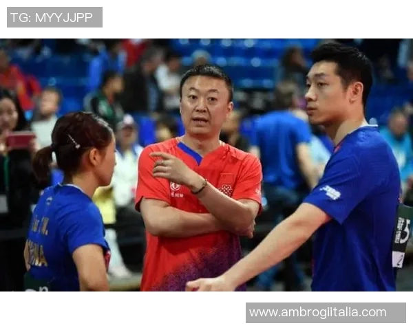 北京排球队整体实力分析：压制对手与自身失误的双重考量