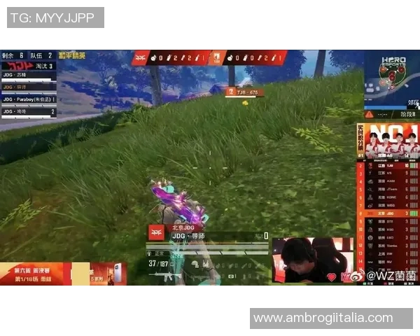 和平精英专题深入解析JDG战队的比赛经验与战术策略分享