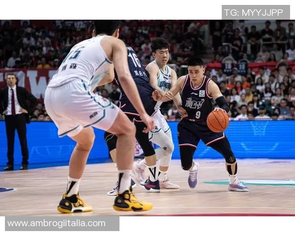 广州篮球队的整体压制策略解析与战术深度剖析