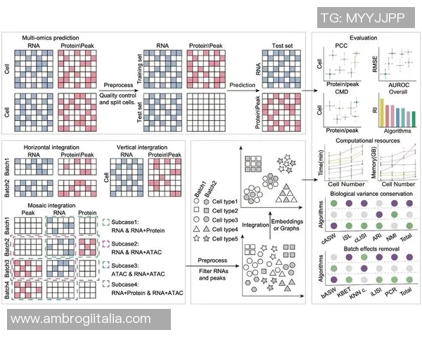 成都乒乓球队团队协作模式深度对比与启示分析