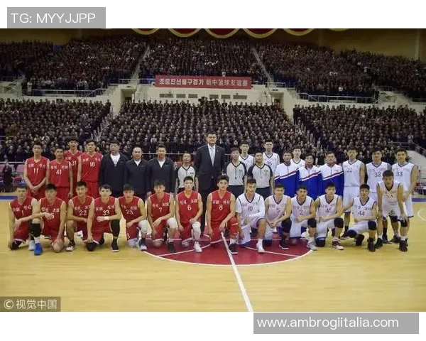 杭州羽毛球队包夹战术革新探秘与实战应用分析