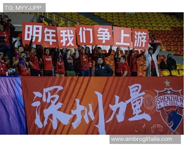 深圳足球队的崛起之路与当前状态深度解析 深圳足球队的崛起之路与当前状态深度解析