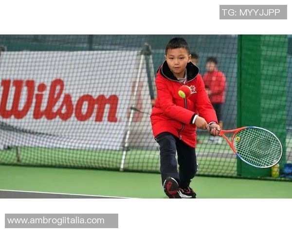 北京网球队的成长历程与世界杯预选赛背后的奋斗与梦想