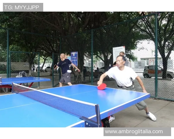 南京乒乓球队边路渗透革新之路探索与实践分析 南京乒乓球队边路渗透革新之路探索与实践分析