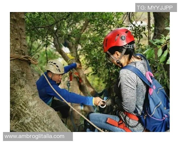 攀岩精神的传承与创新成都攀岩队的成长之路与探索心得 攀岩精神的传承与创新成都攀岩队的成长之路与探索心得