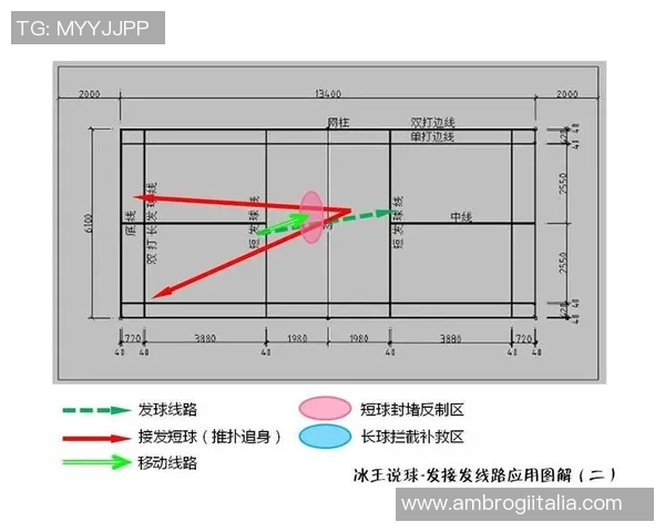 深入分析杭州羽毛球队与南京羽毛球队赛后技术表现与战术对比