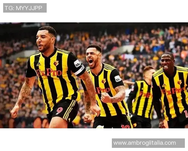 卡昂与图卢兹对决前瞻分析及赛果预测全解析 卡昂与图卢兹对决前瞻分析及赛果预测全解析