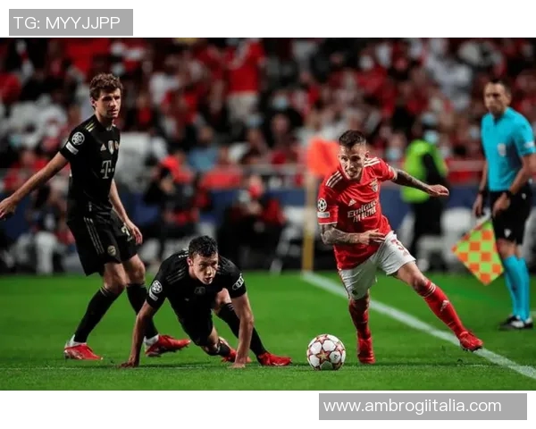 法马利康对阵本菲卡的精彩对决分析与赛前预测