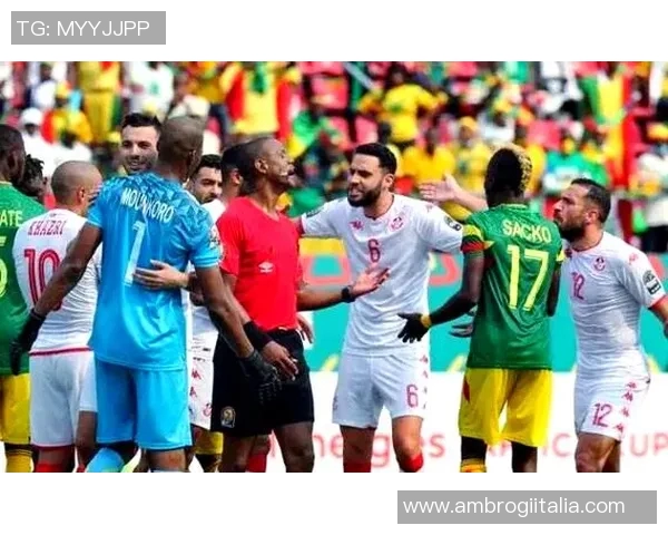 突尼斯与马里足球对决专家深度分析及胜负预测