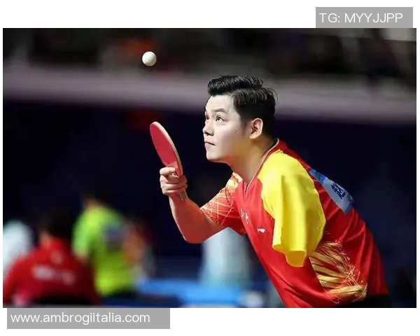 赵帅与伊萨精彩对决视频回顾赛场瞬间尽显拳击魅力与实力较量