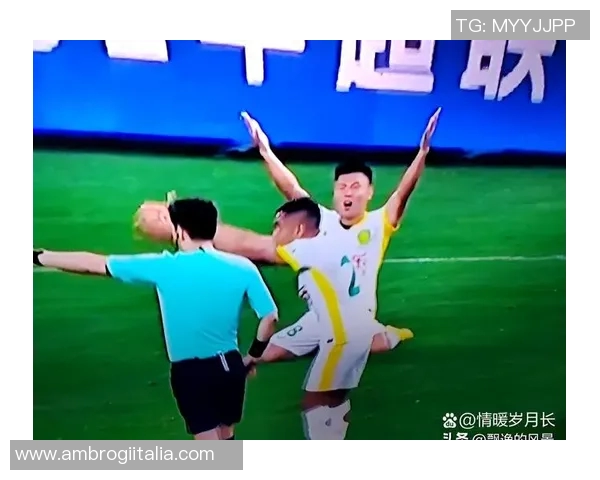 国安与石家庄比赛裁判争议引发热议球迷对判罚尺度表达不满