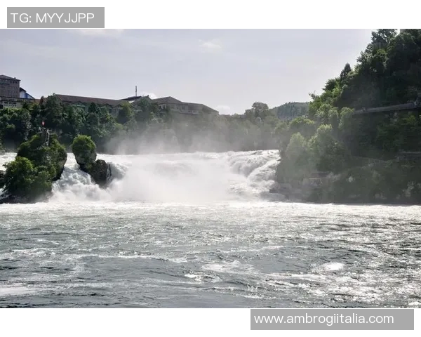 瑞士与德国激战正酣完场比分揭晓精彩瞬间回顾