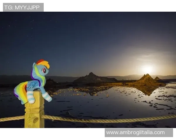 飞马与太阳的实力对比究竟谁更强大分析与探讨