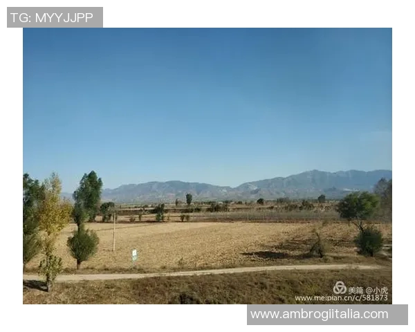 斯通斯的传奇之旅探寻摇滚乐的灵魂与历史的交汇 斯通斯的传奇之旅探寻摇滚乐的灵魂与历史的交汇