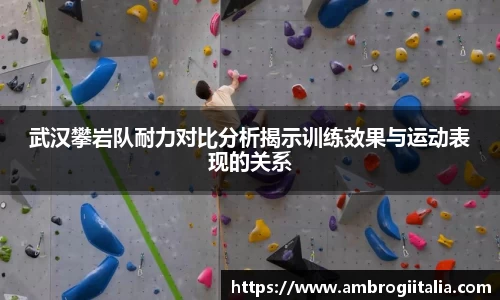 武汉攀岩队耐力对比分析揭示训练效果与运动表现的关系