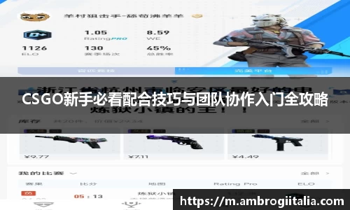 CSGO新手必看配合技巧与团队协作入门全攻略